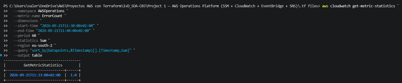 Successful SSM command execution