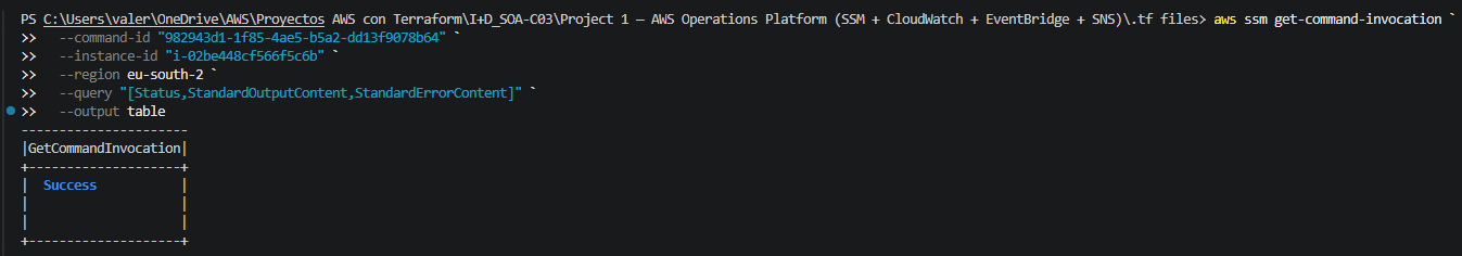 Verify SSM command execution